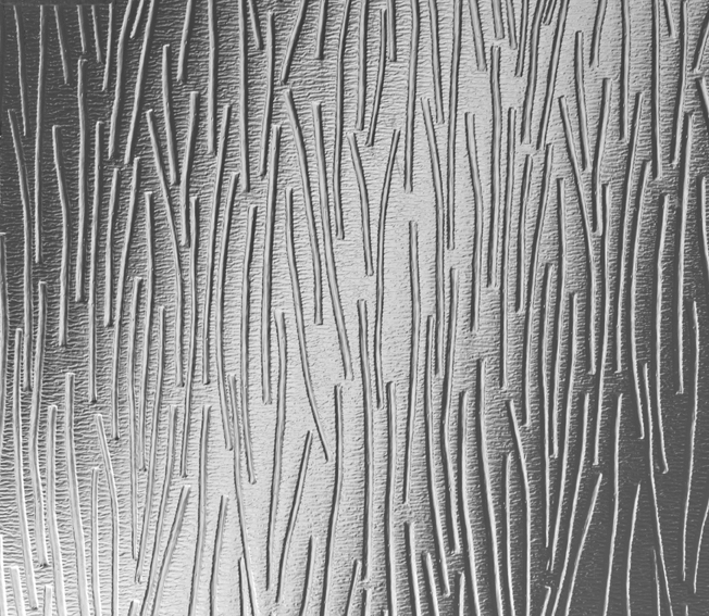 Pilkington Texture Glass